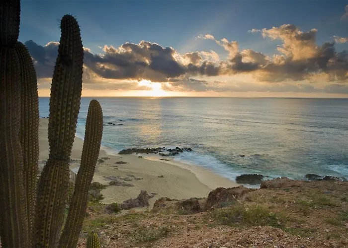 The Westin Cabos 5*